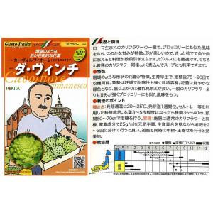 【イタリアの野菜】GustoItalia カーボルフィオーレ（ロマネスコタイプ） ダ・ヴィンチ（カリ...