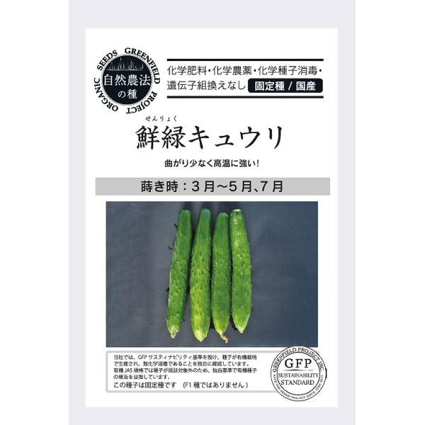 【オーガニックの果菜】キュウリ 鮮緑キュウリ A504〔固定種〕/小袋(約8粒)