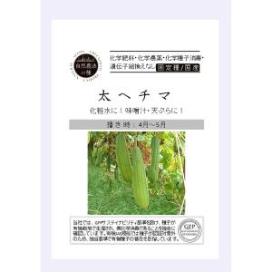 【オーガニックの果菜】太ヘチマ A541 〔固定種〕/小袋(約80粒)｜otaseed