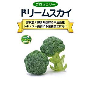 サカタのタネ ブロッコリー SK9-099 2000粒 : 種苗・園芸ショップ 種