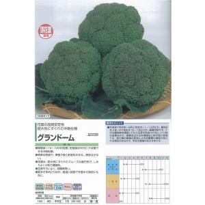サカタのタネ ブロッコリー SK9-099 2000粒 : 種苗・園芸ショップ 種