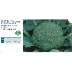 SK9-099 ブロッコリー種子 ペレット5000粒 【野菜種子】【サカタのタネ