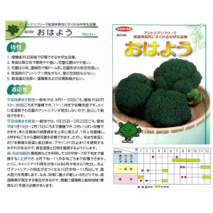 サカタのタネ ブロッコリー SK9-099 2000粒 : 種苗・園芸ショップ 種