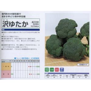 SK9-099 ブロッコリー種子 2000粒 【野菜種子】【サカタのタネ