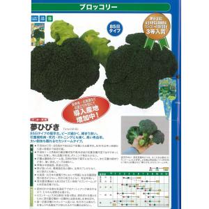 SK9-099 ブロッコリー種子 ペレット5000粒 【野菜種子】【サカタのタネ