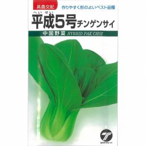 【チンゲンサイ】平成5号〔高農交配〕/小袋｜otaseed