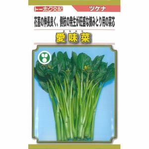 【中国野菜】愛味菜〔トーホク交配〕/小袋｜otaseed