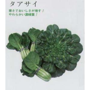 【中国野菜】タアサイ〔固定種〕/小袋（9.0ml）