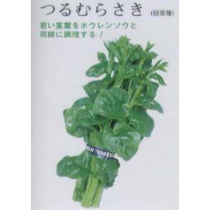 【中国野菜】つるむらさき〔固定種〕/小袋（9.0ml）
