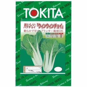 【中国野菜】おいしいパクチョイ ウィンウィンチョイ〔トキタ交配〕