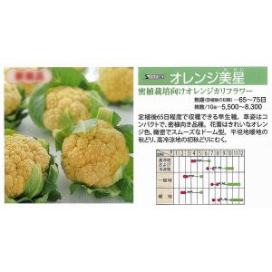 サカタのタネ ブロッコリー アーリーキャノン ペレット5000粒 : 種苗