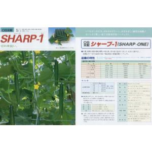 【キュウリ】シャープ1〔OS交配〕