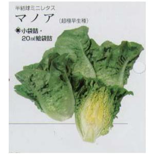 レタス 半結球ミニレタス マノア タキイ育成 小袋 T Lts Manoa 家庭菜園 太田シード ヤフー店 通販 Yahoo ショッピング