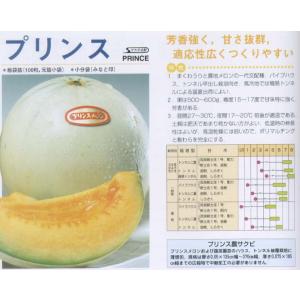 たね タカヤマシード メロン 種子 みずほニューメロン 20ml : 種苗