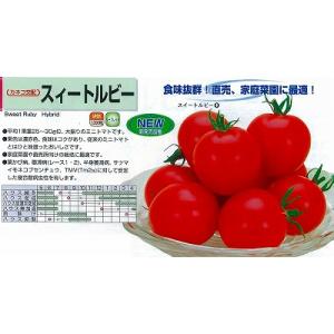 toさん専用　ちばちゃんの安心♡元気なタネと、果樹苗と、野菜たち 野菜種子 ミニトマト チョコちゃん トキタ種苗のタネ : Gardener s