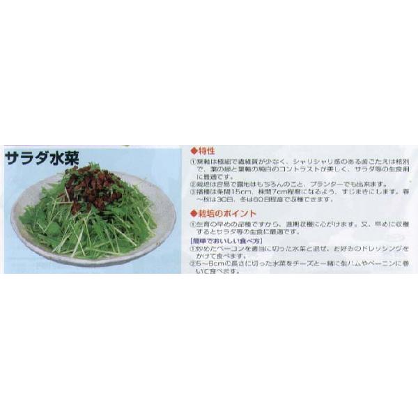 【ミズナ】サラダ水菜〔丸種〕/小袋（6ml）