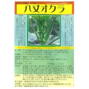 【オクラ】八丈オクラ〔固定種0305〕/小袋