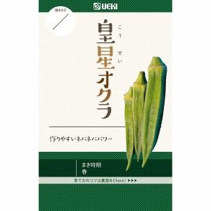 【オクラ】ベイファーム 皇星オクラ 〔0403〕