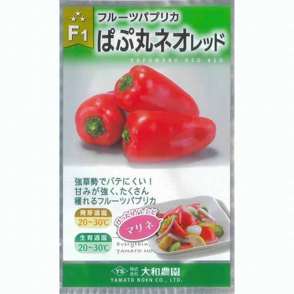 【ピーマン】ミニパプリカ　F1ぱぷ丸ネオレッド〔0394〕