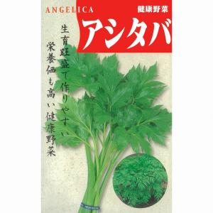【その他の菜類】あしたば(アシタバ)〔固定種0043〕の商品画像