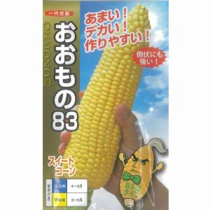 大特価！】野菜の種/種子 おおもの83・とうもろこし・スイートコーン