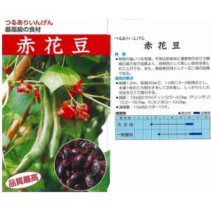【雑豆】赤花花豆〔固定種〕
