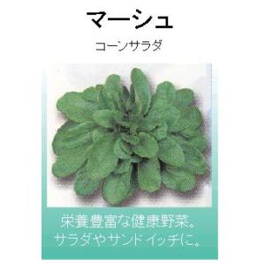 SK9-099 ブロッコリー種子 ペレット5000粒 【野菜種子】【サカタのタネ