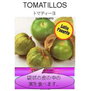 【世界の果菜】トマティーヨ（食用ホオズキトマト）/小袋（約30粒）