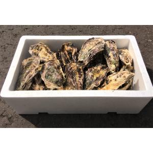 能登かき 殻付 (30個 約3.5kg)(牡蠣...の詳細画像1