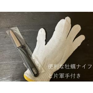 能登かき 殻付 (30個 約3.5kg)(牡蠣...の詳細画像2