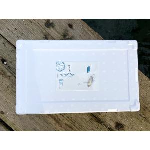 能登かき 殻付 (30個 約3.5kg)(牡蠣...の詳細画像3