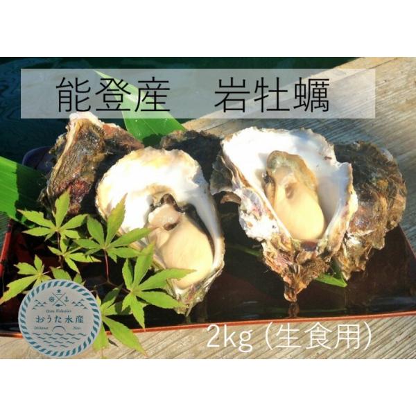 岩牡蠣　能登産　2 kg   （6〜8個）（牡蠣ナイフ、片手用軍手付）　送料無料