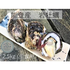 岩牡蠣　能登産   　2.5kg    (6〜8個)（牡蠣ナイフ、片手用軍手付）