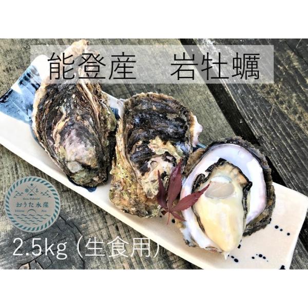 岩牡蠣　能登産   　2.5kg    (6〜8個)（牡蠣ナイフ、片手用軍手付） 送料無料