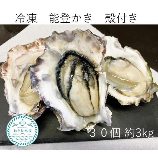 冷凍　能登かき　殻付　（30個　約3kg）（牡蠣ナイフ、片手用軍手付）