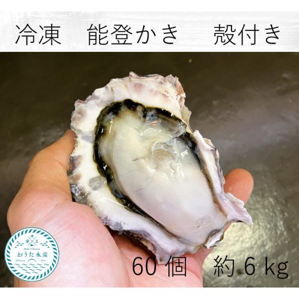 冷凍　　能登かき　殻付　（６０個　約6kg）（牡蠣ナイフ、片手用軍手付）