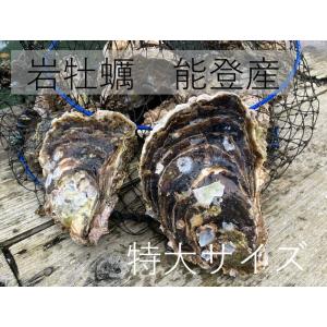 岩牡蠣 能登産 大サイズ (2個) ( 牡蠣ナイ...の商品画像