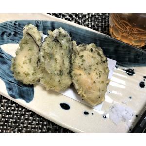 岩牡蠣 能登産 大サイズ (2個) ( 牡蠣ナ...の詳細画像3