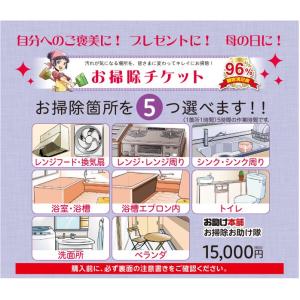 お助け本舗　選べるお掃除チケット5箇所：頑固�