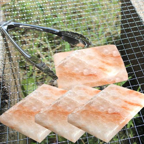 ヒマラヤ産岩塩プレート 3枚組 ソルトロースタープレート 食用岩塩板 七輪 焼肉 天然塩 ヒマラヤ岩...