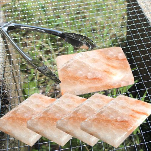 ヒマラヤ産岩塩プレート 4枚組 ソルトロースタープレート 食用岩塩板 七輪 焼肉 天然塩 ヒマラヤ岩...