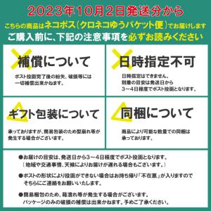 お香 アロマ GONESH ガーネッシュ ステ...の詳細画像2