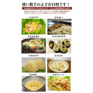 無洗米 玄米 玄氣1.5kg×3個 計4.5k...の詳細画像4