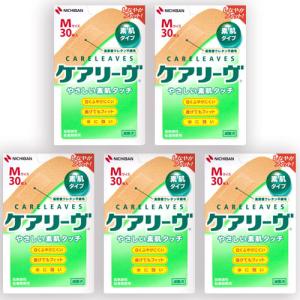 プリモ 助聴器 聴六 ハンディタイプマイクレシーバー 携帯型集音機 集