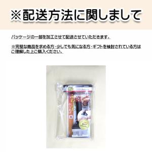 日本製 燕三条 プログレード ミートテンダライ...の詳細画像3