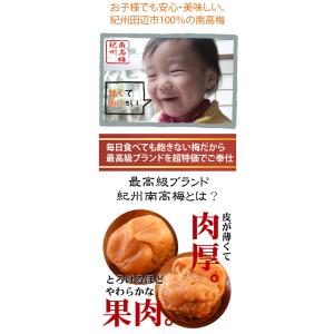 紀州南高梅 自然農園の訳ありつぶれ梅 梅干し ...の詳細画像2