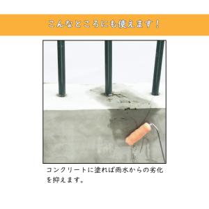 塗るだけ簡単 雨もり補修液 外壁 ベランダ コ...の詳細画像3