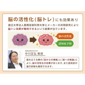 木製立体パズル ki-gu-mi 熊本城 くま...の詳細画像5