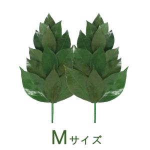 枯れない榊 御榊 M 1対(2本セット)プリザー...の商品画像