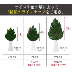 枯れない榊 御榊 M 1対(2本セット)プリザ...の詳細画像4